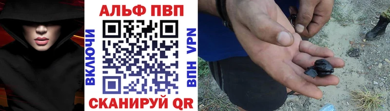Alfa_PVP СК КРИС Правдинск