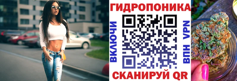 дарнет шоп  Правдинск  Каннабис ГИДРОПОН 